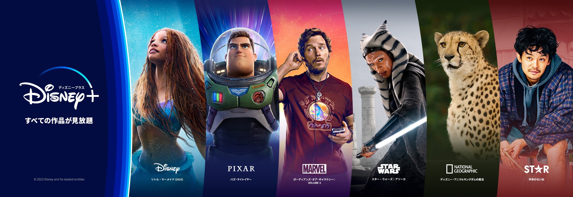 Disney+ ディズニー公式動画配信サービス