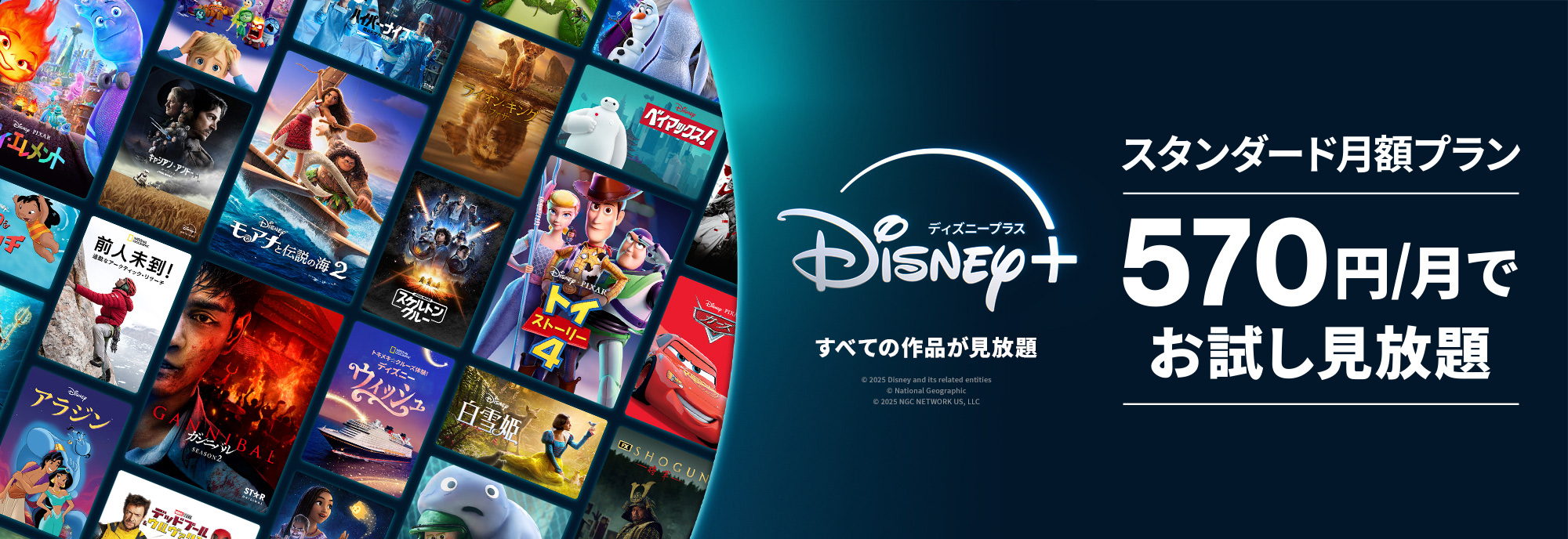 Disney+ ディズニー公式動画配信サービス