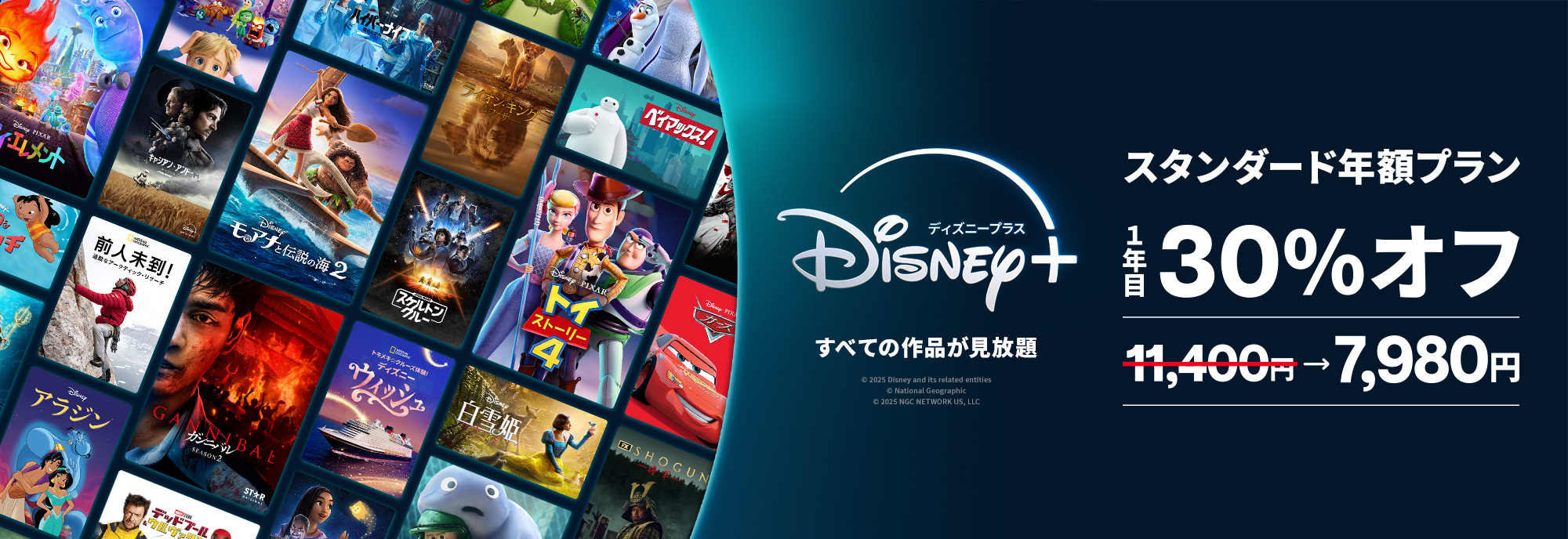 Disney+ ディズニー公式動画配信サービス